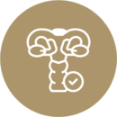 Implante Hormonal na Menopausa